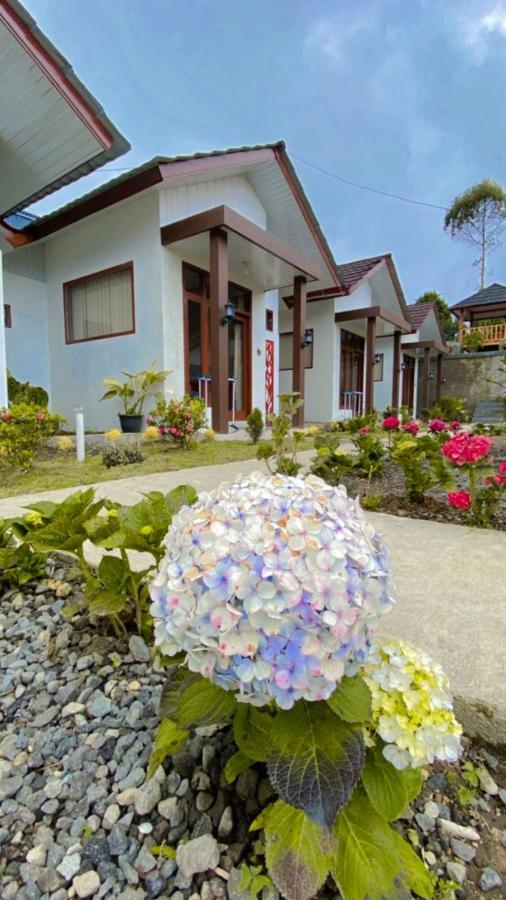 Villa Madinna Dieng Diyeng Exterior foto